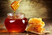 ایران؛ در جایگاه سوم تولید عسل طبیعی| ایالات متحده، آلمان و ژاپن در صدر واردات