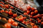 کاهش قیمت گوجه و گوشت قرمز در استان تهران/ دلیل افزایش قیمت آهن آلات قیمت ارز است