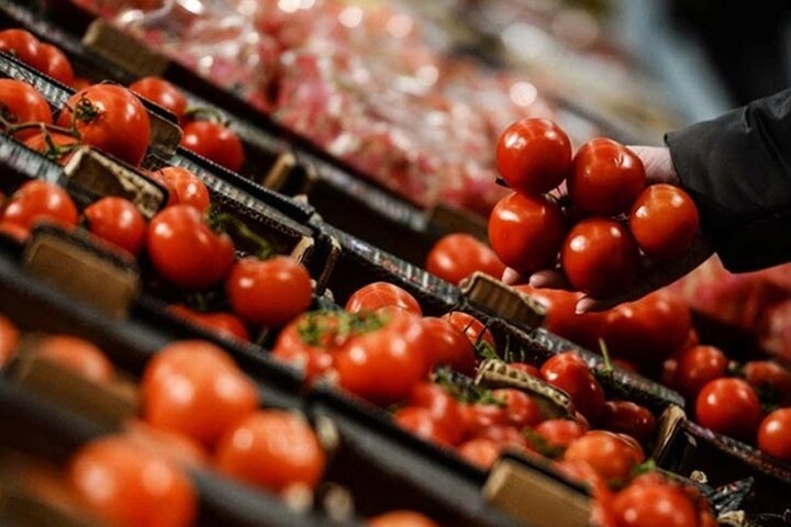 صادرات گوجه فرنگی از مرز پرویزخان ممنوع شد