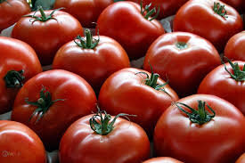 گرانی صیفی جات با استارت ناگهانی صادرات! | گوجه، کلم، هویج و کاهو در ردیف افزایش قیمتها