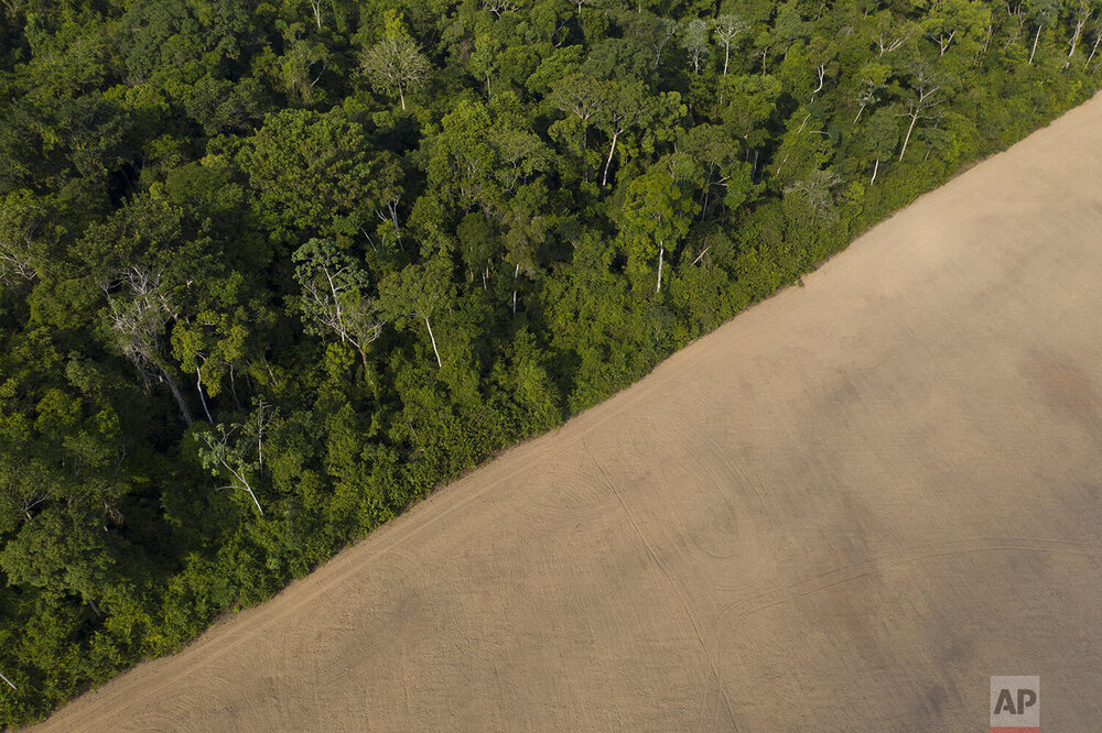 شکوه جنگل‌ آمازون از منظر فضا