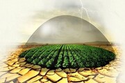 ۳۰ میلیارد تومان غرامت به کشاورزان آذربایجان‌شرقی پرداخت شد