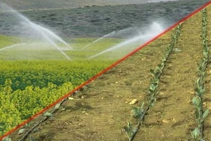 ۶ درصد محصولات کشاورزی کشور در استان تهران تولید می شود