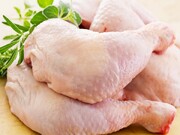 کاهش قیمت گوشت مرغ در خراسان شمالی