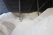تولید شکر در کشور بیش از ۱.۴ میلیون تن و نیاز بازار ۲.۲ میلیون تن