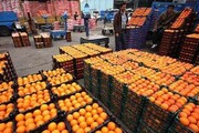 عیدانه کارگروه تنظیم بازار؛ افزایش نرخ پرتقال در مهد مرکبات