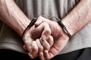 دستگیری ۱۹ نفر از شبکه مجرمانه ارزهای صادراتی