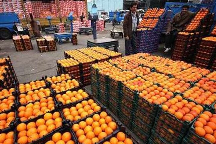 کنسرسیوم صادرات محصولات کشاورزی در مازندران راه اندازی شود کنسرسیوم صادرات محصولات کشاورزی در مازندران راه اندازی شود
