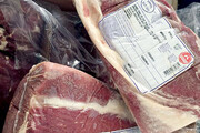 قیمت گوشت منجمد دولتی در بازار کاهش یافت