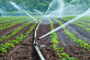 آبیاری نوین راهکار ارتقای کشاورزی | ۱۸۰ میلیارد تومان اعتبار برای گلستان جذب شد