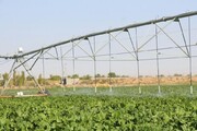 آبیاری نوین رمز جهش تولیدات کشاورزی استان مرکزی/زیرساخت ها فراهم شود