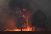 آتش سوزی وسیع در اراضی کشاورزی جنوب غربی تهران