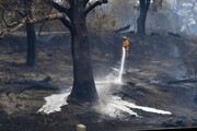 تهیه ۱۰ دستگاه دمنده هوا برای مقابله با آتش سوزی مراتع در استان همدان