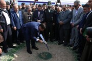 جلوگیری از قطع سالانه ۶ میلیون درخت با ساخت کارخانه تولید کاغذ در خوزستان
