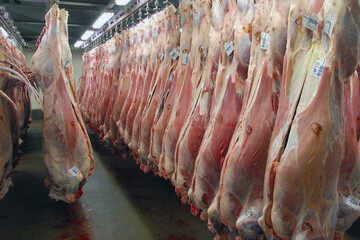قیمت روز گوشت قرمز در ۱۰ خرداد ۱۴۰۲
