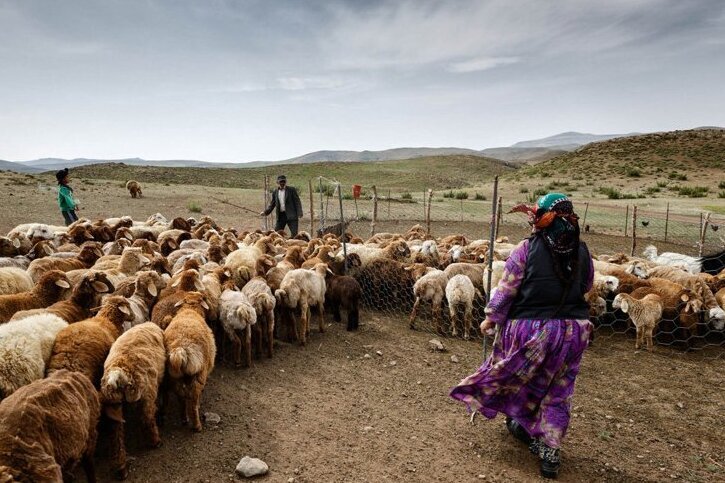 زخم بی آبی بر گرده عشایر| تنش آبی میهمان ۲۲ هزار خانوار عشایری کهگیلویه و بویراحمد