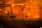 استرالیا در آتش؛ خشم زمین نشان دهنده تغیرات اقلیمی شدید