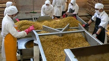 رشد ۴.۲ درصدی بازار جهانی کشمش تا ۲۰۳۰؛ اروپا ۵۰درصد واردات جهانی را به خود اختصاص می دهد
