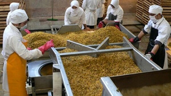 مزه شیرین صادرات غیرنفتی با کشمش آذربایجان