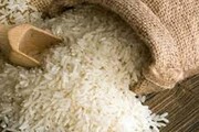 قیمت برنج در کانال ۲۰ هزار تومان ثابت ماند