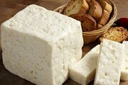 رشد ۱.۲ درصدی ارزش جهانی صادرات پنیر| ایران در جایگاه ۷۶ قرار گرفت
