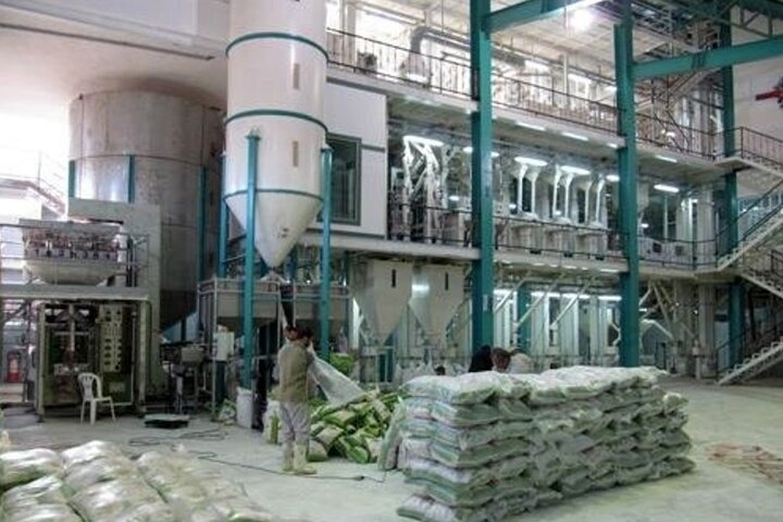 ۳۰۰ هزار تن برنج مازندران در انبارها دپو شده است