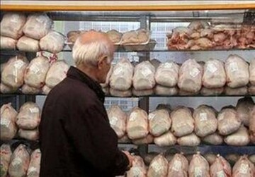 کاهش قیمت مرغ ادامه دارد| عرضه مرغ در بازار زیر نرخ مصوب
