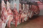 قیمت گوشت قرمز در ایلام ۲۰ درصد کاهش یافت