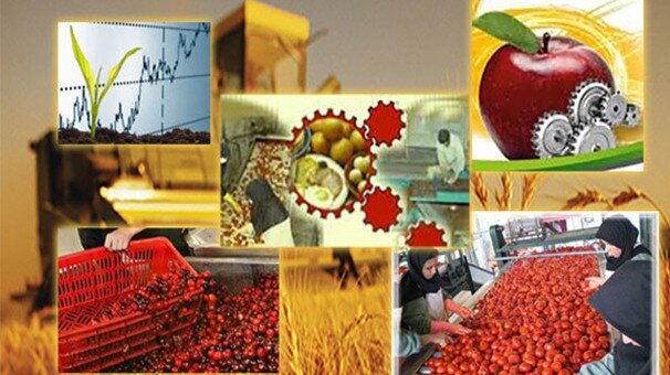 ارتقای بهره وری کشاورزی در آذربایجان‌ شرقی/ صنایع تبدیلی ایجاد می شود
