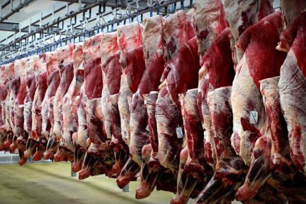 بازار گوشت قرمز در اردبیل به ثبات رسید/ هرکیلو گوشت گوسفندی ۸۰ هزار تومان