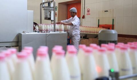 تولید روزانه ۲۵۰ تن شیر مازاد بر مصرف در آذربایجان غربی/ دامداران متضرر شدند