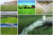 ۲۹ پروژه کشاورزی بوشهر افتتاح شد/ ایجاد ۴۳۰ فرصت شغلی