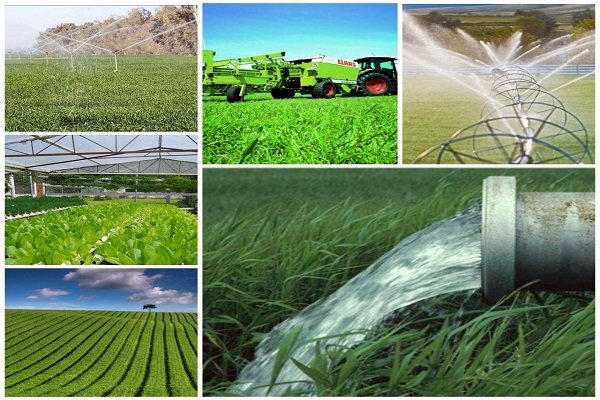  ۲۹ پروژه کشاورزی بوشهر افتتاح شد/ ایجاد ۴۳۰ فرصت شغلی