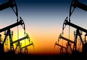 افزایش اختلاف نظر اوپک و آژانس بین‌المللی انرژی درباره بازار نفت