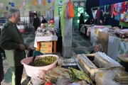 نمایشگاه بهاره در زنجان برگزار می‌شود