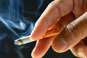 درصد آمار زنان سیگاری در ۵ سال ۴ برابر شد| خودکفایی در گندم یا تنباکو برای شرکت های ژاپنی!؟