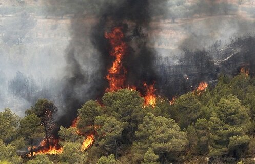 مهار کامل آتش در جنگل های حاشیه ارس/ ۱۰ هکتار از نیزارهای منطقه طعمه حریق شد