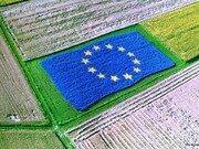 سناریوهای کشاورزی اتحادیه اروپا در ۱۰ سال آینده