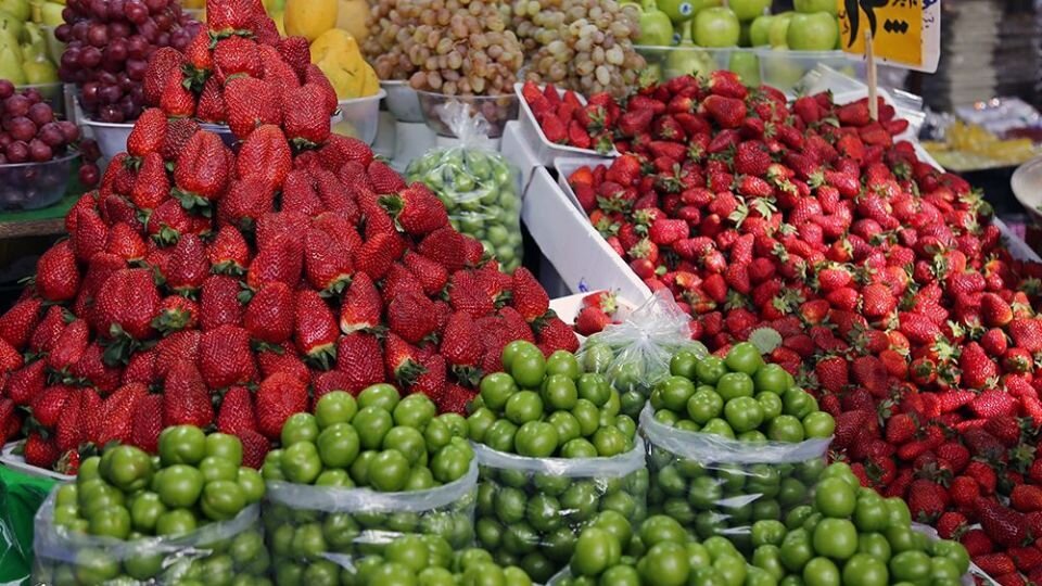 تأثیرات بهار زودرس در تولید میوه‌های نوبرانه/ باران‌های اسیدی تأثیری در تکامل محصولات ندارند