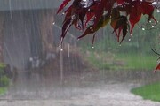 کاهش ۳۶ درصدی بارندگی در چهارمحال و بختیاری