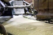 راه‌اندازی واحد تولید شکر از چغندر در دزفول و شوش