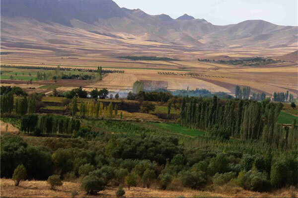 کمبود نیرو و تجهیزات در صیانت از منابع طبیعی آذربایجان غربی| تولید ۱۰ میلیون اصله نهال