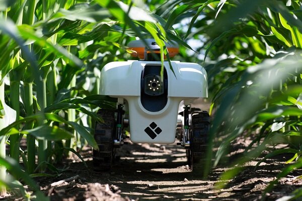 حضور رو به رشد ربات ها در مزارع کشاورزی