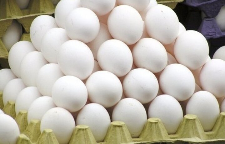 روزانه ۷۵ تن تخم مرغ در استان سمنان تولید می‌شود