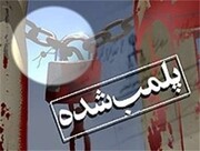 ۳۶ پرونده تقلب در فروش عایق‌های رطوبتی به تعزیرات حکومتی فارس رفت