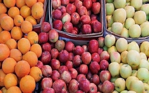 ۱۴۰۰ تن میوه در اردبیل توزیع می شود