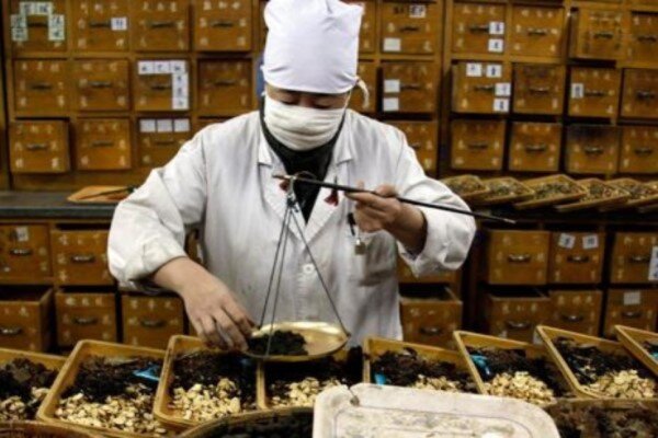 تولید صنعتی گیاهان داروی در چین