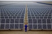 تولید پنل های خورشیدی سبک ویژه دامداری و کشاورزی در مازندران