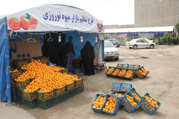 ۵۵۰ تن میوه شب عید با قیمت دولتی در بوشهر توزیع می‌شود