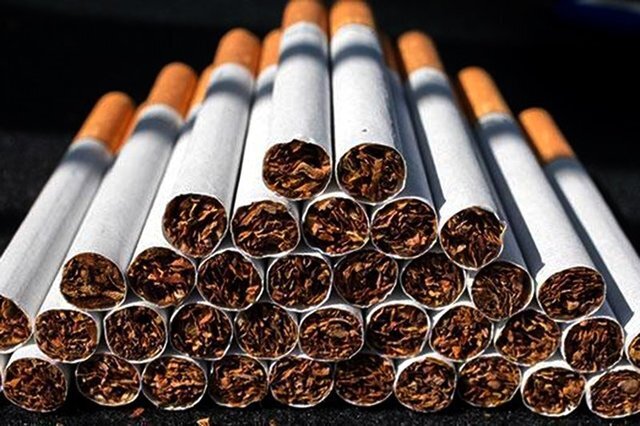 قاچاقچی سیگار در همدان ۳۱ میلیارد ریال جریمه شد/جاسازی سیگارها زیر بار علوفه 